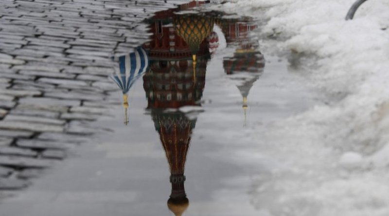 Клещи, комары, грибы: к чему готовиться россиянам после необычайно снежной зимы - «Новости»