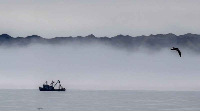 Охотское море — кладовая Дальнего Востока: освоение, достопримечательности и экологические проблемы наших дней - «Новости»
