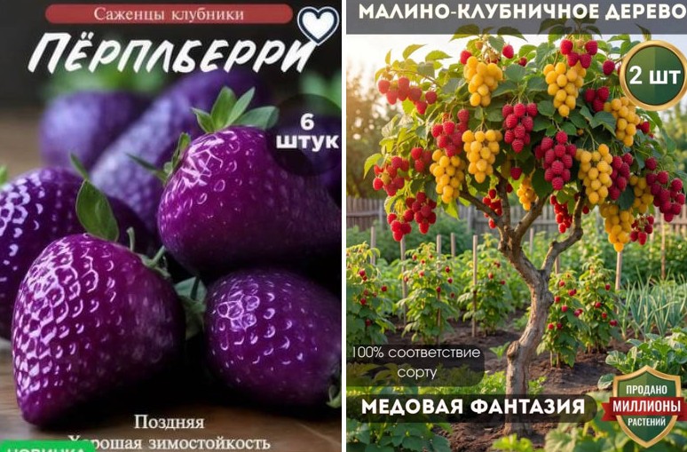 «Виноват продавец»: россиян обманывают сгенерированными ИИ «малинно-клубничными деревьями» на маркетплейсах - «Новости»