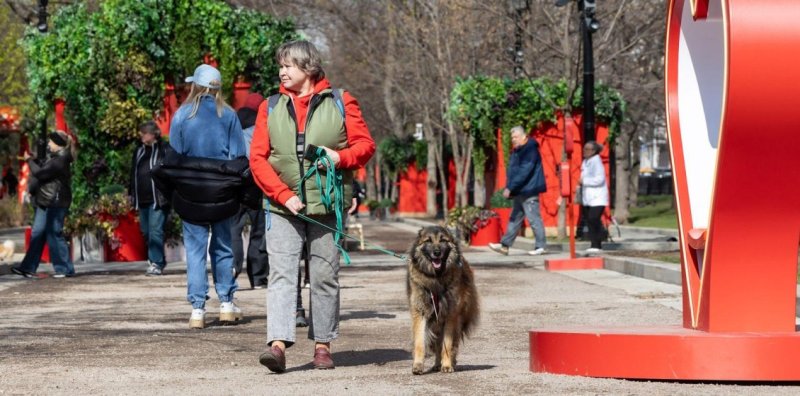 На мероприятии "Моспитомец × Четвероногий друг" нашли хозяев для 51 животного Новости