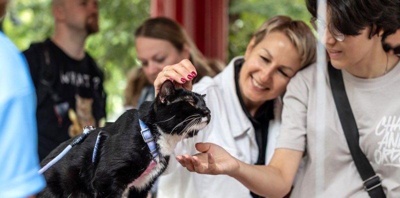 С 16 по 19 апреля в Москве пройдёт мероприятие "Моспитомец × Четвероногий друг" Новости